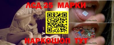 дмт Шелехов