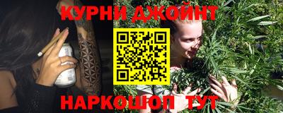 дмт Шелехов