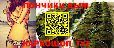 дмт Шелехов