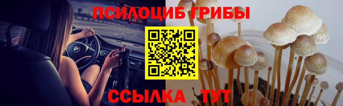  Кокаин Кемерово